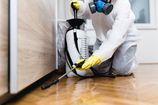 Best Pest Control Near Me  in Salisbury, NC