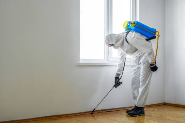 Best Flea Control Services  in Salisbury, NC