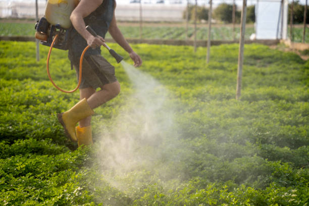 Pest Prevention Services in Salisbury, NC