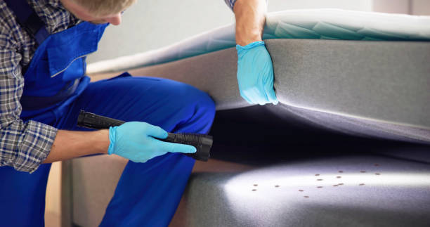 Best Pest Control Near Me in Salisbury, NC