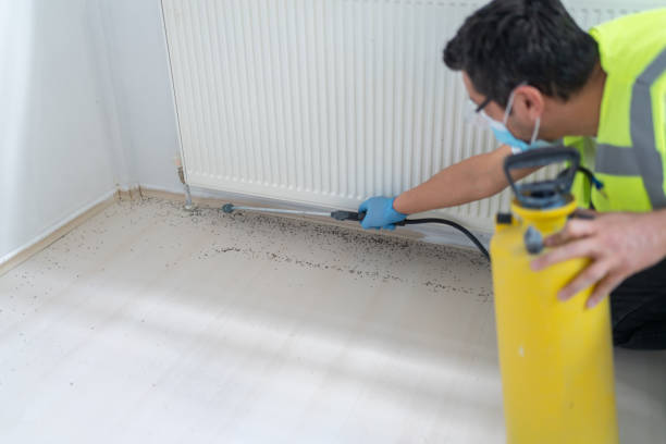 Best Residential Pest Control  in Salisbury, NC
