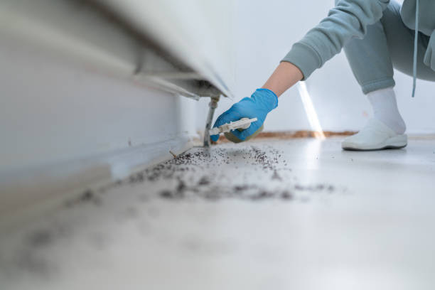 Best Emergency Pest Control  in Salisbury, NC